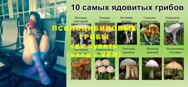 бошки Заволжск