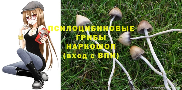 кристаллы Заводоуковск