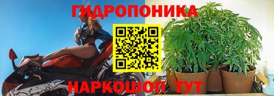 дмт Заводоуковск