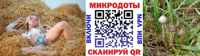 kraken зеркало Кушва Псилоцибиновые грибы MAGIC MUSHROOMS наркота