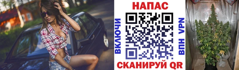 Бошки Шишки LSD WEED  магазин продажи   Кушва 